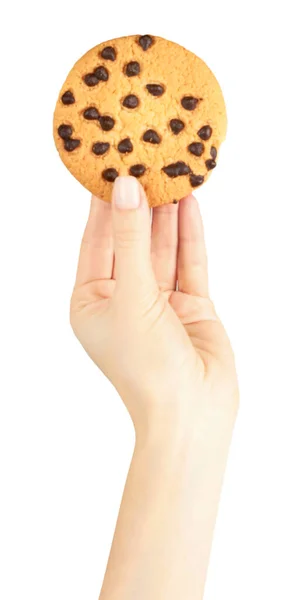 Hand Mit Hausgemachtem Plätzchen Und Schokotropfen Isoliert Auf Weißem Hintergrund — Stockfoto