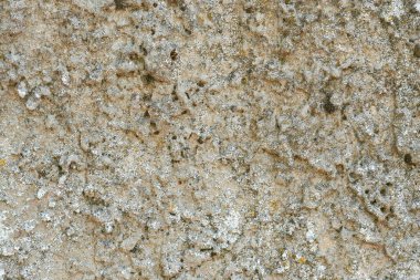 Gri sert beton doku, yıpranmış sıva yüzey deseni. Kopyalama alanı olan makro resim.