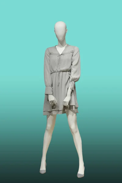 Manequim Feminino Comprimento Total Usando Vestido Cinza Elegante Isolado Fundo — Fotografia de Stock