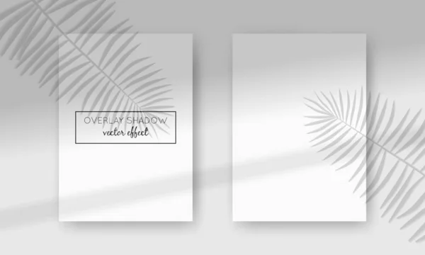 Vektor zwei DIN-A4-Karten-Attrappen mit Schatten-Overlays darüber. Organische Schatten und Fensterrahmen für natürliche Lichteffekte. Fotorealistische Illustration mit Palmblättern — Stockvektor