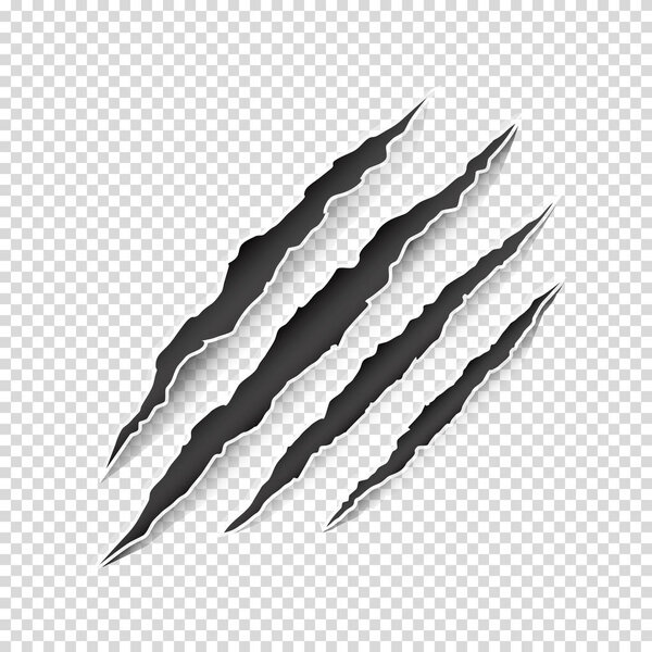 Vector illustration of animal claw scratches isolated on transparent background