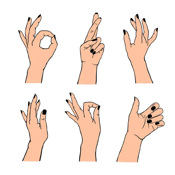 Vektoruppsättning av olika gester isolerade. Insamling av kvinnliga händer i olika positioner — Stock vektor