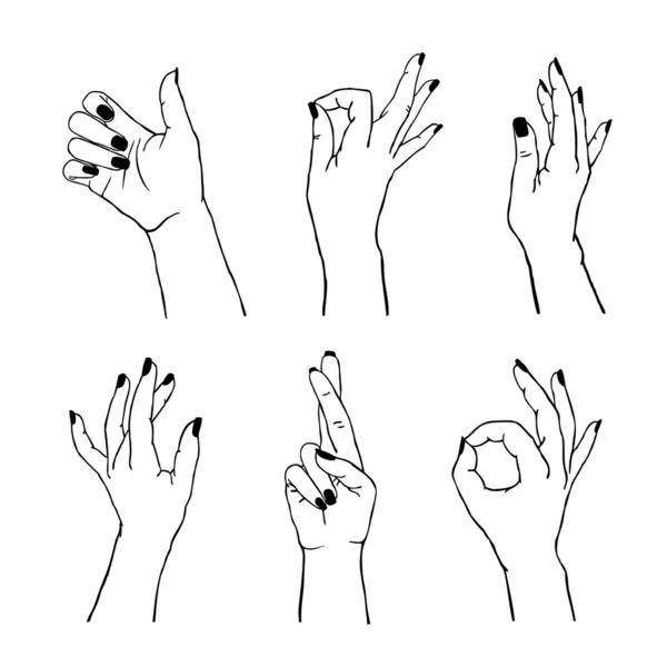 Vektoruppsättning av olika gester isolerade. Insamling av kvinnliga händer i olika positioner — Stock vektor