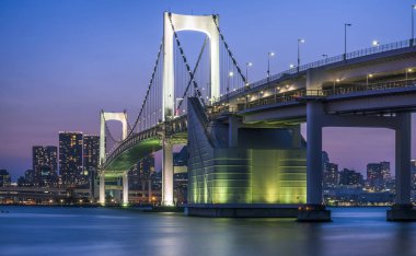 Tokyo şehrinin arka planında köprü aydınlatma manzarası 