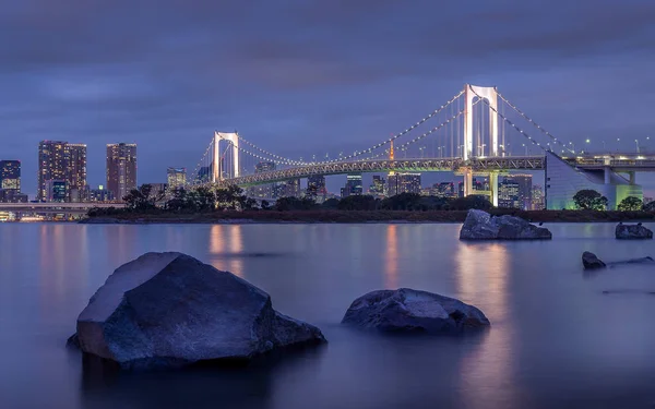 Tokyo şehrinin arka planında köprü aydınlatma manzarası 