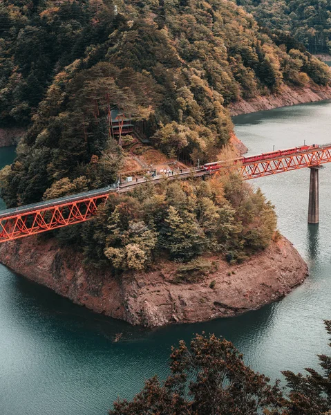 Vue Sur Shizuoka Shi Shizuoka Japon — Photo