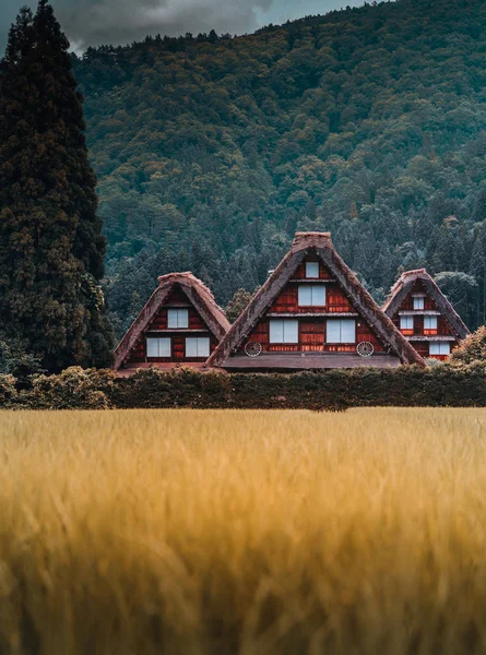 Shirakawa Köyü, Ono Bölgesi, Gifu Bölgesi, Japonya
