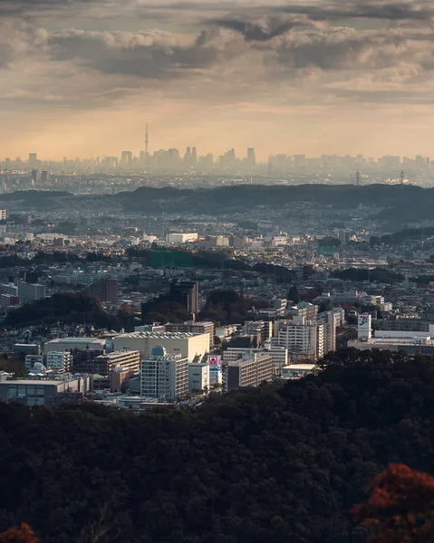 Tokió Városképe Takao Hegyről — Stock Fotó