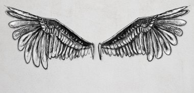 Creative drawing of wings on concrete background. Freedom concept clipart