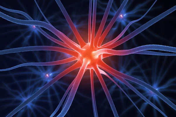 Neurone rouge et bleu gros plan — Photo