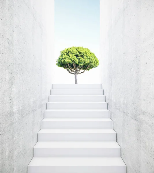 Escadas de concreto que levam a árvore verde. Conceito de crescimento. Renderização 3D — Fotografia de Stock