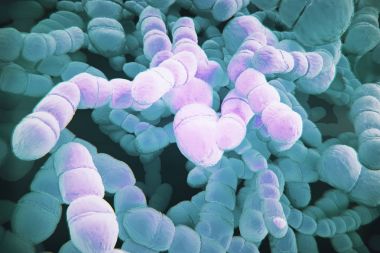 Purple bacteria backdrop clipart