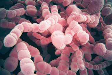 Pink bacteria texture clipart