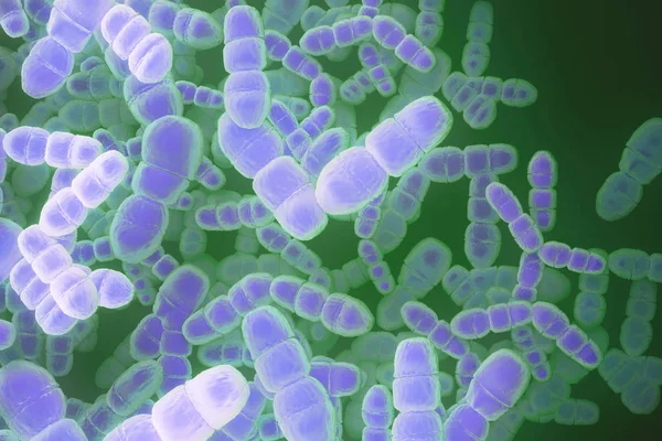 Фиолетовые бактерии — стоковое фото