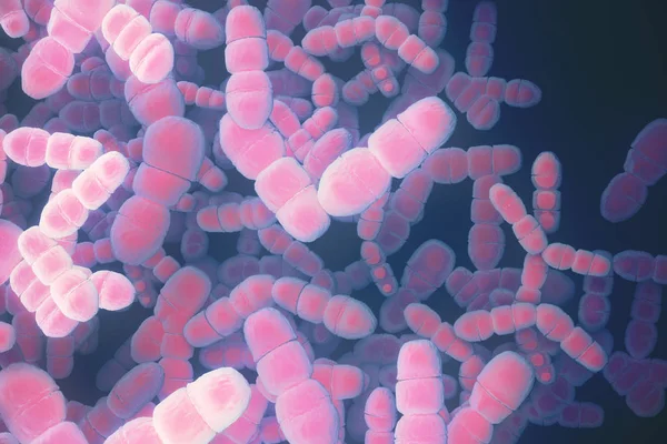 Розовые бактерии — стоковое фото