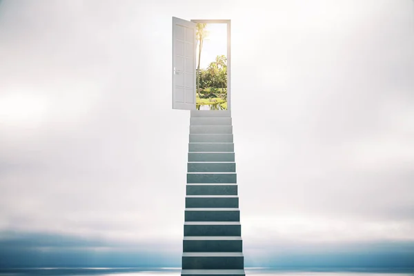 Ladder to open door — 스톡 사진