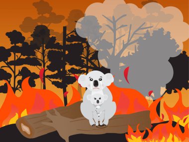 Koala ve bebeği orman yangınının, vektör illüstrasyonunun arasında kuru ağaçta oturuyorlar. Avustralya orman yangını..