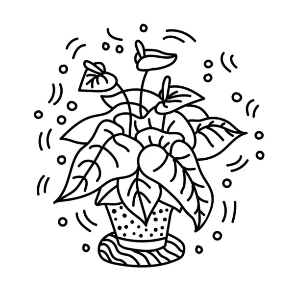 As flores envasadas são desenhadas em estilo doodle. Flores em vasos pintados linha preta em um fundo branco. Ilustração decorativa do esboço da planta da casa do Anthurium para imprimir, correia fotorreceptora, móvel, cartões postais, arte da tampa —  Vetores de Stock