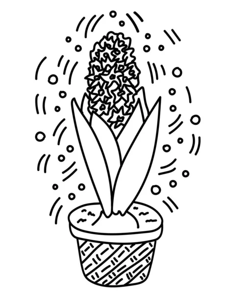 Les fleurs en pot sont dessinées dans le style doodle. Fleurs en pots peints ligne noire sur un fond blanc. Plante décorative maison Hyacinthus croquis illustration pour imprimer, mobile, cartes postales, couverture — Image vectorielle