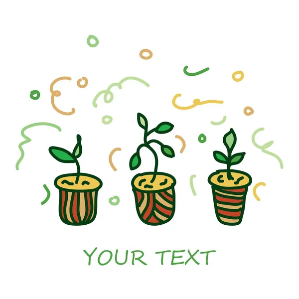 Fleurs colorées dans des pots sur un fond blanc. Les fleurs en pot sont dessinées dans le style doodle. Plante décorative de maison en pot croquis illustration pour imprimer, web, mobile, cartes postales, couverture . — Image vectorielle