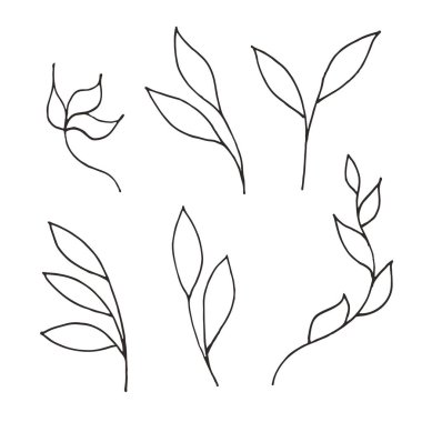 Süslü yapraklar, Doodle tarzı dallar. Beyaz arka planda el çizimleri. Siyah siluetler. Zarif çiçek unsurları ayarlandı. Dekorasyon kartpostalları, dergiler, site, kitaplar