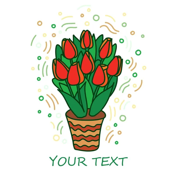 Desenho isolado de tulipas em um pote de flor no estilo de doodle. Flores envasadas vermelhas brilhantes bonito com folhas verdes para o dia das mulheres, aniversário, projeto do cartão de convite, empacotamento do presente, decoração do partido — Vetor de Stock