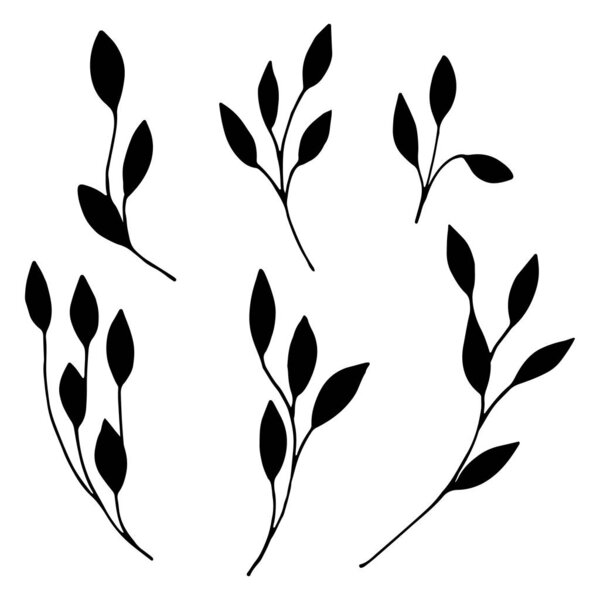 Набор декоративных листьев, веток в стиле Дудла. Ручные рисунки на белом фоне. Черные силуэты. Элегантный набор цветочных элементов. Декоративные открытки, журналы, сайт, книги
