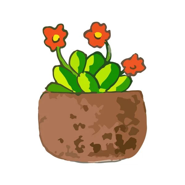 Green houseplant with three red flowers in a brown pot on a white background. Cute multi-color illustration with large strokes. Vector isolated picture for a site about gardening, succulent plants — Stock vektor