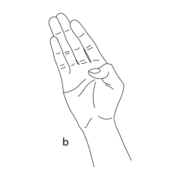 Вторая Буква Алфавита Языке Жестов Векторная Графика Изолированное Изображение Руки — стоковый вектор