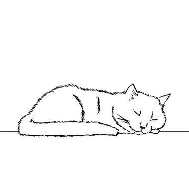 Uyuyan şirin bir kedi çiziyor, başını patisinin üzerinde dinlendiriyor. Bir hayvanın siyah beyaz çizimi. Bir hayvanın gerçekçi görüntüsü. Vektör izole çizim karakteri. Çizgi çizimi