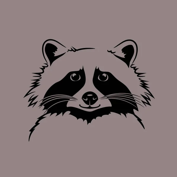 有趣可爱矢量插画的浣熊。T 恤、 海报、 印刷品设计 — 图库矢量图片