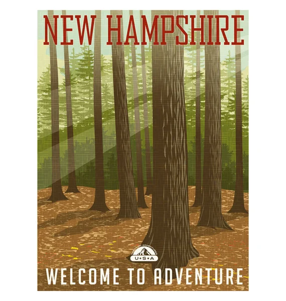 Cartaz de viagem estilo retro ou adesivo. Estados Unidos, New Hampshire. Floresta profunda com luz solar filtrando através . —  Vetores de Stock