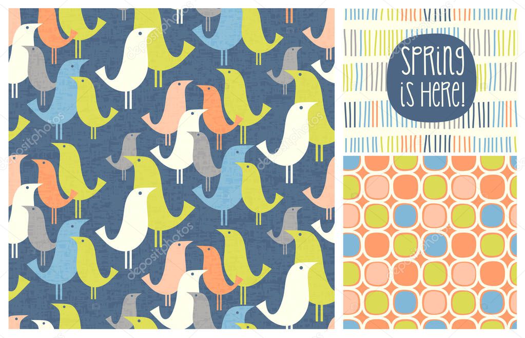 New Spring mid-century modern birds seamless pattern with coordinating patterns and design elements. Fresh designs for fabric, gift wrap, cards, backgrounds and decor.