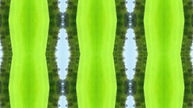 geometrik süsleme biçiminde kusursuz vektör deseni