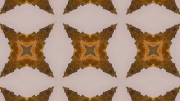 Motif vectoriel sans couture dans un style ornemental géométrique — Video