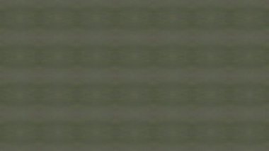 geometrik süsleme biçiminde kusursuz vektör deseni