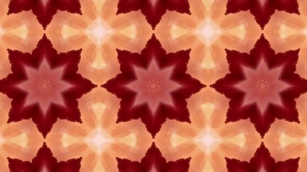 Opptak Med Sømløs Geometrisk Ornamentalmønster Abstrakt Illusjonsbakgrunn – stockvideo