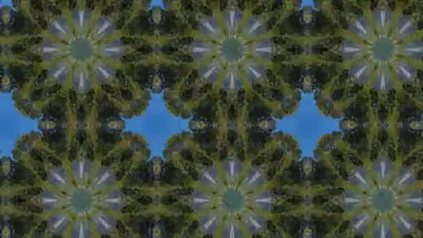 Filmación Con Patrón Ornamental Geométrico Sin Costuras Fondo Abstracto Ilusión — Vídeo de stock