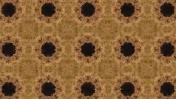 Bilder Med Sömlösa Geometriska Prydnadsmönster Abstrakt Illusion Bakgrund — Stockvideo