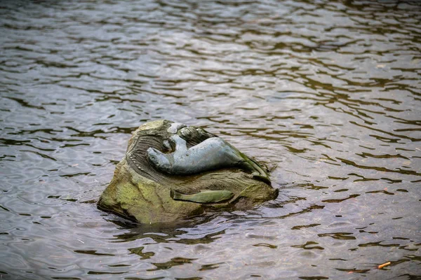 Lake District, Inglaterra — Fotografia de Stock