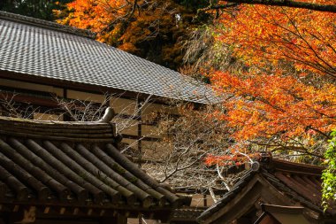 Kurama-dera.