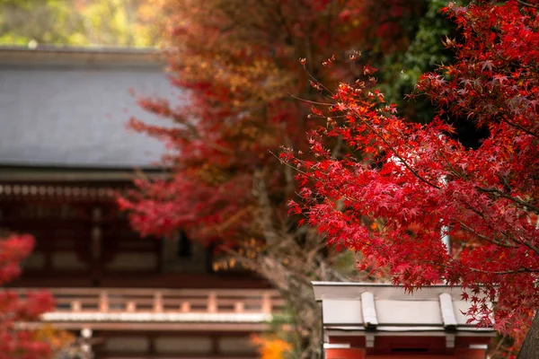 Kurama-dera — Stockfoto