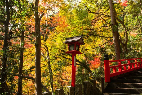 Kurama-dera. — Stok fotoğraf