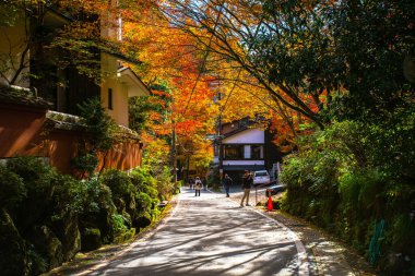 Kurama, Kyoto Bölgesi, Kansai, Japonya - 21 Kasım 2019 - Kurama Dağı 'ndaki Kibune' de sonbahar sahnesi