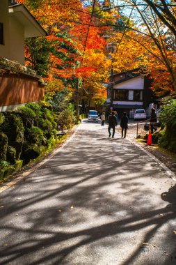 Kurama, Kyoto Bölgesi, Kansai, Japonya - 21 Kasım 2019 - Kurama Dağı 'ndaki Kibune' de sonbahar sahnesi
