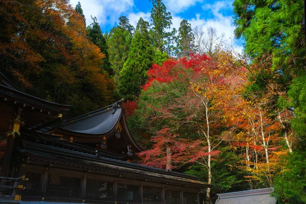 Herfstscène Kifune Jinja Kifune Shrine Berg Kurama Prefectuur Kyoto Kansai — Stockfoto