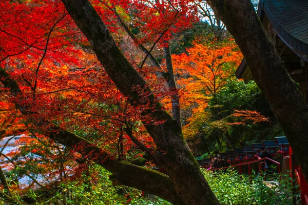 Φθινοπωρινή Σκηνή Στο Kibune Στο Όρος Kurama Επαρχία Κιότο Kansai — Φωτογραφία Αρχείου