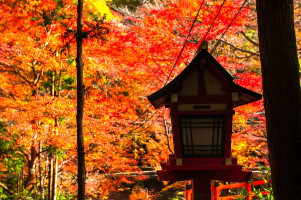 Podzimní Scéna Kifune Jinja Svatyně Kifune Hoře Kurama Prefektura Kjóto — Stock fotografie
