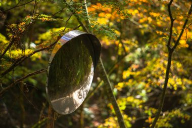 Picturesque scene of autumn in Japan