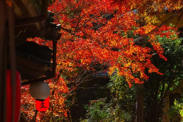 Cena Pitoresca Outono Japão — Fotografia de Stock